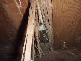 Before calling a pest control company, ask friends and neighbors for referrals. Structural Termite Damage Repair Service In Tracy Ca Take Care Termite