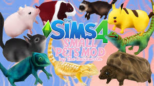 Cat sweater, remaron, sims 4, the sims resource, tsrjanuary 31, 2021. The Sims 4 Small Pets Mod Cc Showcase Review Youtube