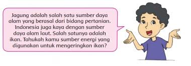 We did not find results for: Kunci Jawaban Tema 2 Kelas 4 Halaman 37 38 39 40 41 Pembelajaran 5 Subtema 1 Sumber Energi Semangat News