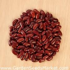 Maybe you would like to learn more about one of these? Dwarf Bean Toska For Dry Seeds Garden Seeds Market Free Shipping