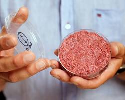 Labgrown meat