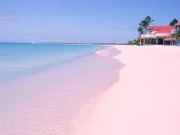 Download and use 10,000+ pink stock photos for free. Pink Beach Wallpapers Wallpaper Cave