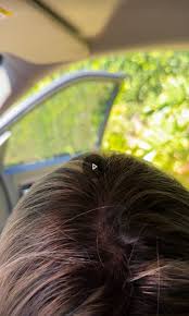 Fuck You (@_victorax)  X