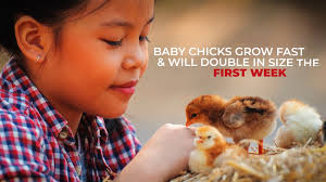 Smith General Store/Navarro County Feed and Outdoors