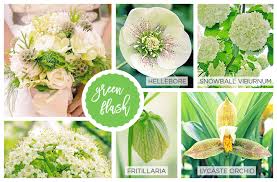 Check spelling or type a new query. 42 Spring Flowers Inspired By Pantone Colors Of The Year