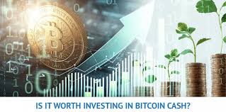 How does bitcoin work, how risky is it, how to buy it & invest in it, new cryptocurrencies to watch, how has bitcoin performed, is it a good investment? What Is Bitcoin Cash And Is It Worth Investing In Bch In 2021 Trading Education