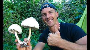 Mushrooms can do so much for your garden! Mushrooms In My Garden Can I Eat Them Youtube