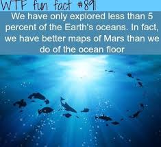 Pin By A I On Fun Facts Wierd Facts Fun Facts Funny Facts