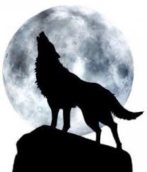 Pin By Aysegul Yildirim On Aysegul Yildirim Wolf And Moon Tattoo Wolf Silhouette Wolf Artwork