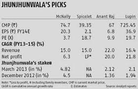 The Four Big Stock Bets Of Rakesh Jhunjhunwala With Images Punto De Cruz Cat Cross Stitch Christmas Cross Stitch