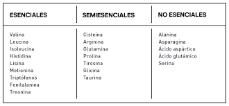 Por supuesto, el exceso de lípidos, como ejemplo de abundancia de macronutrientes, es dañino, desarrollando. Que Son Los Macronutrientes Todo Lo Que Debes Saber