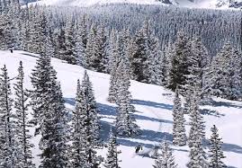 The million dollar highway is a narrow, winding drive that. Una Pequena Aventura En Colorado Lugares De Nieve