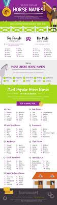 His name is really blackjack, but the name jack is used often as a shortcut. Find The Perfect Horse Name Horsemart