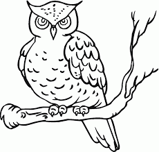 Walaupun namanya burung hantu, tapi jenis burung yang satu ini tuh lucu banget lho. Halaman Pewarna Burung Cetak Percuma Untuk Kanak Kanak Haiwan Mungkin 2021