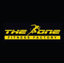 THE ONE FITNESS FACTORY