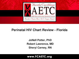 ppt perinatal hiv chart review florida powerpoint