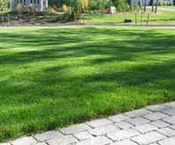 This lawn care allows air and nutrients to get to your plants and grassroots. Cost To Restore A Lawn 2020