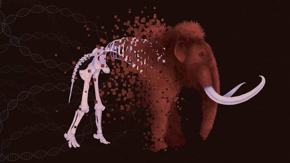 Why 'De-Extinction' Is Impossible (But Could Work Anyway) | Quanta Magazine