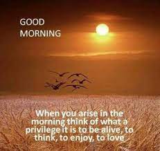 Good morning love quotes for her just a quick good morning to remind you how much i love you and how happy i am that our paths crossed so long ago. good morning to the one man that i will love forever. 60 Good Morning Sunshine Quotes Images Pictures Etandoz In 2021 Good Morning Sunshine Quotes Morning Quotes For Friends Good Morning Quotes