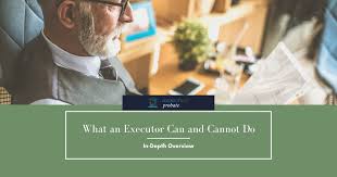 Check spelling or type a new query. What An Executor Can And Cannot Do Connecticut Probate