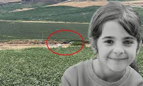 Narin cinayetinde sanıklar için istenilen ceza belli oldu