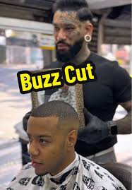 Buzz Cut Poudre