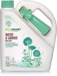 Amazon Com Ecosmart Weed And Grass Killer 64 Oz Spray Bottle Patio Lawn Garden