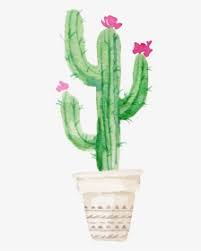 I've also folded the flower pot with pattern paper and the flower pot holder with brown paper. Succulent Plant Watercolor Painting Cactus With Flower Drawing Hd Png Download Transparent Png Image Pngitem