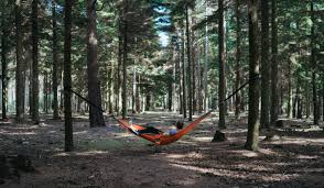 The 8 ft solid pine stand is fsc certified, and. How To Hang A Hammock Gearjunkie