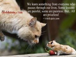 lesson,Life / Learning Quotes – Inspirational Quotes, Pictures and ... via Relatably.com