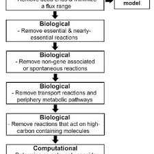 And since we only focus on real world self defense applications we define knockout pressure points as those targets that cause a complete and immediate loss of consciousness for the adversary. Pdf A Review Of Gene Knockout Strategies For Microbial Cells