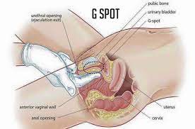 We did not find results for: Bet Didinti Data G Spot Exit Mp3 Sofoslovosakcija Net