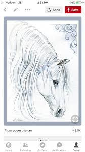 Pin By Delmas Elisabeth On White On White Horse Drawings Horse Painting Animal Drawings