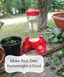 It's not good for the birds to drink this. How To Make Hummingbird Food Thrifty Jinxy