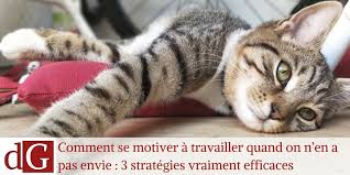 Alors, comment travailler efficacement ? Comment Se Motiver A Travailler Quand On N En A Pas Envie
