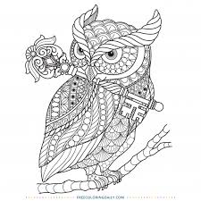 Starfish also called sea stars are the representation of the phylum echinoderm. Free Owl Zentangle Coloring Page Free Coloring Daily