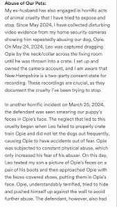 New Hampshire Woman Who Shared Videos Of Ex-Husband Abusing Family Dog  Starts GoFundMe To Get Herself And Transgender Partner Out Of Debt, Claims  Children Were Abused But She Had No Idea –