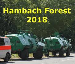 Image result for hambach forest eviction 6th sept