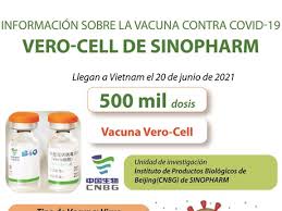 Check spelling or type a new query. Informacion Sobre La Vacuna Contra Covid 19 Vero Cell De Sinopharm Salud Vietnam Vietnamplus
