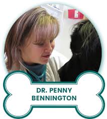 Dr. Scott & Penny Bennington