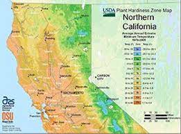California is officially in the pacific time zone. Sacramento Landscaping Considering Zones Sacramento Landscape Plant Hardiness Zone Map Plant Hardiness Zone California Plants