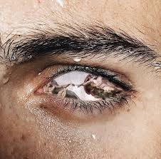 H Aesthetic Eyes Aesthetic Art Eye Photography