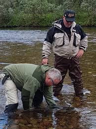 Den er en økonomisk viktig art både i russland. Syltefjord Elva Da Var Dagens Utfisking Etter Pukkellaks Facebook