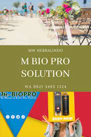 Agen M Bio Pro Jogja M Bio Pro Asli 62 821 3485 1324 Mw Herbalindo Bio Herbalism Pro