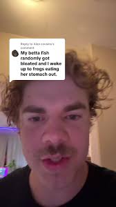 Aquascaping Tips for 30 and 55 Gallon Tanks