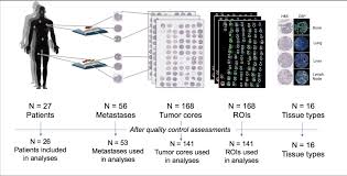 Disseminated tumors in metastatic prostate cancer (mpc) share a common monoclonal origin. Gene Expression Variation In Disseminated Prostate Cancer Tumors Can Inform Treatment Rna Seq Blog