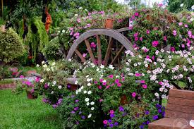 See more ideas about flower garden, beautiful flowers, garden. Beautiful Flower Garden Full Of Colorful Flowers Keywords Language Stock Photo Picture And Royalty Free Image Image 99172419