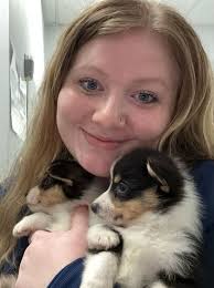 Contact Our Johnson City Veterinarians at All Tails Vet