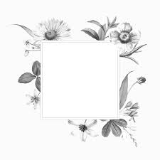 Black And White Floral Frame Vector Png Download Premium Vector Of Blank Square Floral Frame Design Vector 1201104 Frame Design Flower Frame Flower Illustration