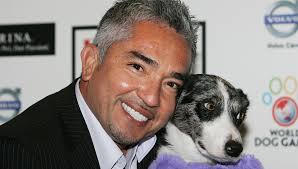 Dog Whisperer' Cesar Millan won't face charges following animal cruelty  investigation - National | Globalnews.ca